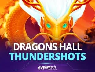 Dragons Hall™ thumbnail